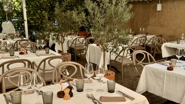 Vue de la terrasse du Bistrot du Lion d'Or à Carouge, tables dressées et ambiance conviviale